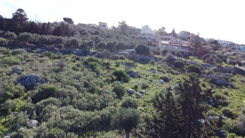 Korakies Kreta, Korakies: Investitionsmöglichkeit zum Verkauf in Korakies Chania Grundstück kaufen